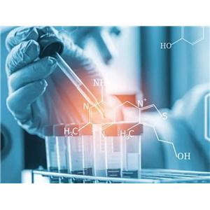 樂伐替尼雜質(zhì)55,Lenvatinib Impurity 55