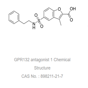 GPR132antagonist 1(GPR132-B-160）是一种 GPR132 拮抗剂