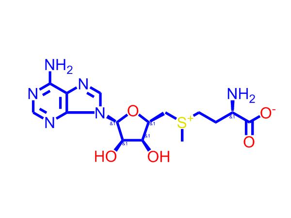 丁二磺酸腺苷蛋氨酸,S-Adenosyl-L-Methionine Disulfate Tosylate