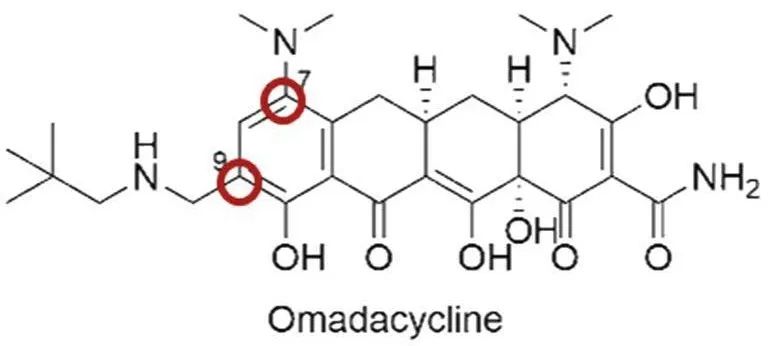 甲苯磺酸奥马环素,Omadacycline Tosylate