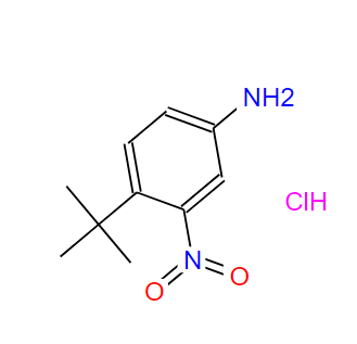 4-叔丁基-3-硝基苯胺盐酸盐,4-tert-Butyl-3-nitro-phenylaMine hydrochloride