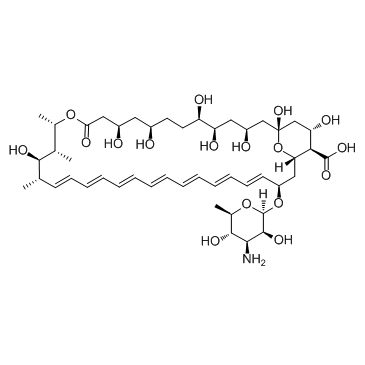 两性霉素B,Amphotericin B