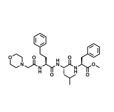 (S)-2-((S)-4-甲基-2-((S)-2-(2-吗啉乙酰氨基)-4-苯基丁酰胺基)戊酰氨基)-3-苯基丙酸甲酯,(S)-Methyl 2-((S)-4-methyl-2-((S)-2-(2-morpholinoacetamido)-4-phenylbutanamido)pentanamido)-3-phenylpropanoate