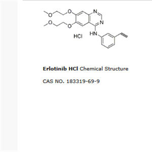盐酸厄洛替尼|Erlotinib HCl