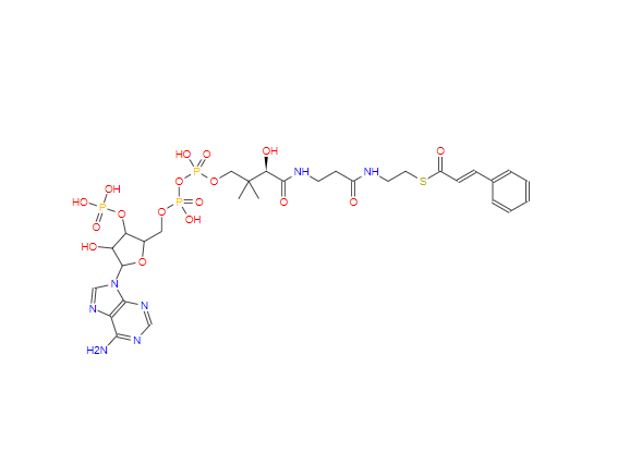 肉桂酰辅酶A,Cinnamyl-Coenzyme A