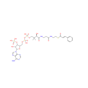 肉桂酰辅酶A,Cinnamyl-Coenzyme A