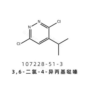 3,6-二氯-4-异丙基哒嗪107228-51-3瑞司美替罗中间体