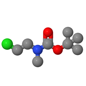(2-氯乙基)(甲基)氨基甲酸叔丁酯；220074-38-4
