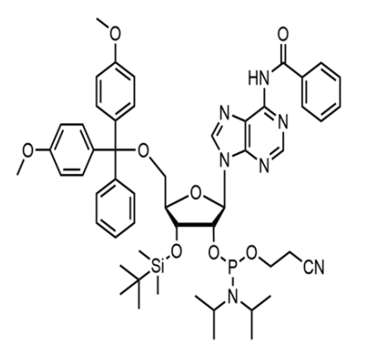 3'-TBDMS-Bz-rA Phosphoramidite,3'-TBDMS-Bz-rA Phosphoramidite