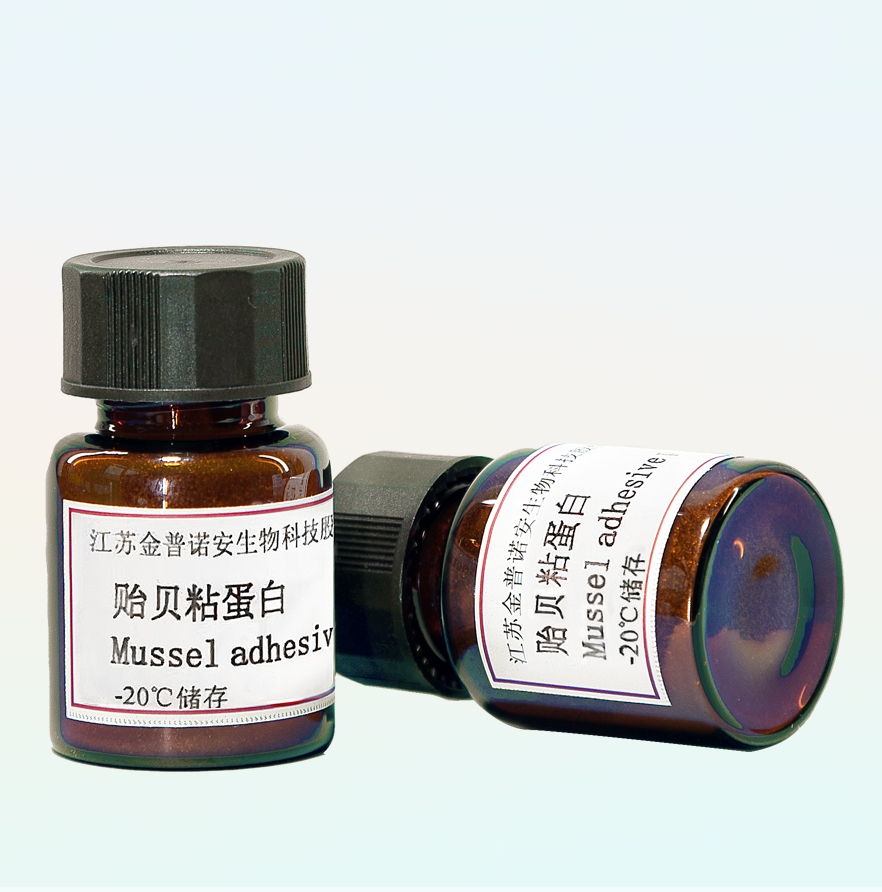 貽貝粘蛋白,Mussel Adhesive Proteins