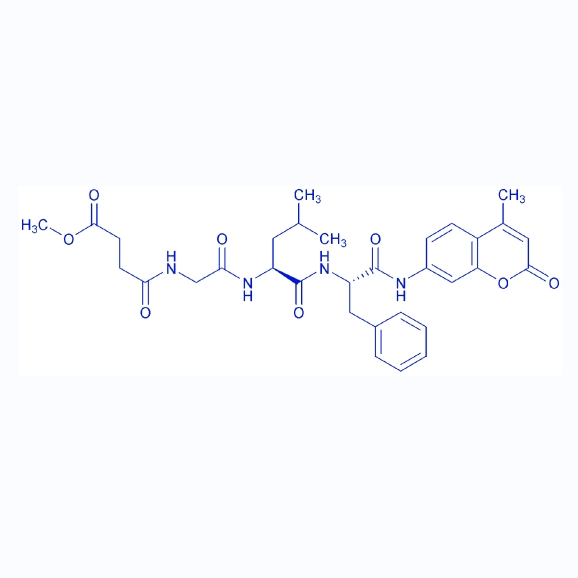 酶荧光底物MeOSuc-GLF-AMC,MeOSuc-Gly-Leu-Phe-AMC