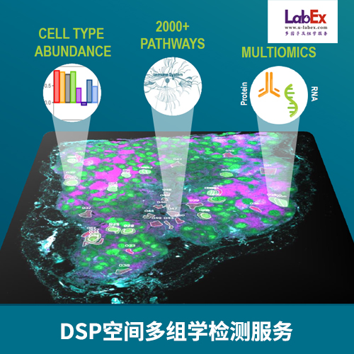 DSP空間多組學(xué)檢測服務(wù),DSP spatial multi-omics service