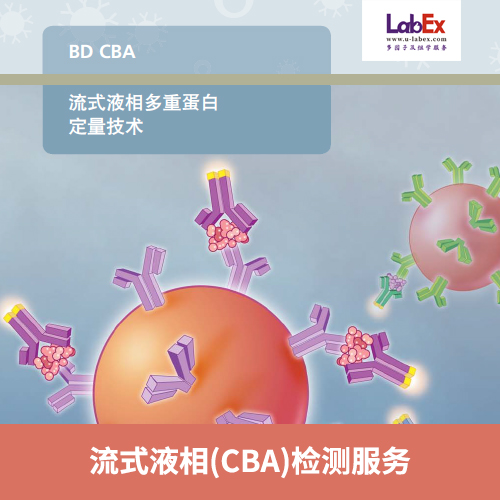 流式液相(CBA)多重蛋白檢測服務(wù),Flow liquid phase (CBA)