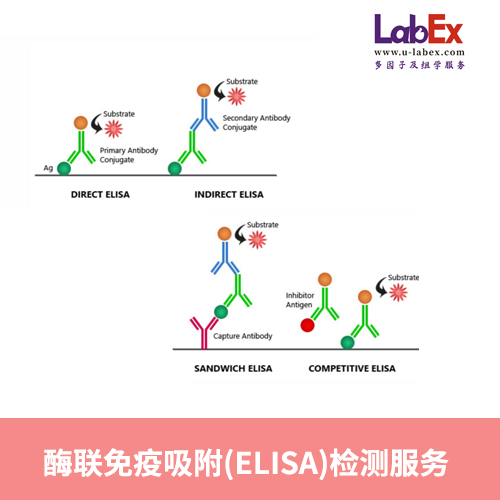 酶聯(lián)免疫吸附(ELISA)檢測服務(wù),ELISA Services