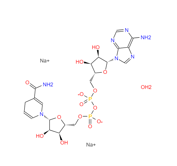 还原型 β-烟酰胺腺嘌呤二核苷酸,BETA-NICOTINAMIDE ADENINE DINUCLEOTIDE DISODIUM SALT(REDUCED FORM)