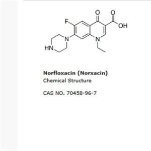 Norfloxacin (Norxacin)|Topoisomerase抑制剂