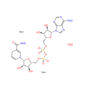 还原型 β-烟酰胺腺嘌呤二核苷酸