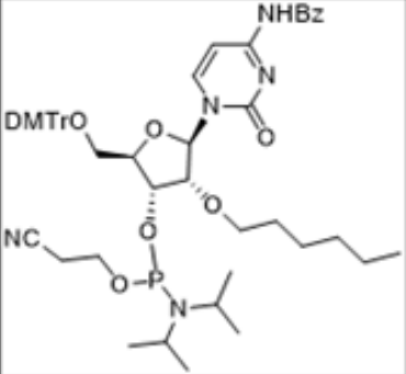 2'-O-hexyl C(Bz) amidite,2'-O-hexyl C(Bz) amidite