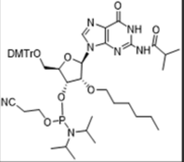 2'-O-hexyl G(iBu) amidite,2'-O-hexyl G(iBu) amidite