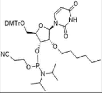 2'-O-hexyl U amidite,2'-O-hexyl U amidite