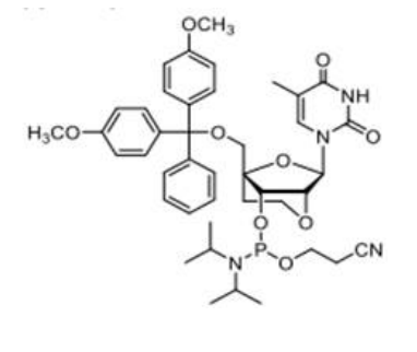 ENA-T Phosphoramidite,ENA-T Phosphoramidite