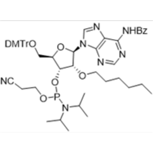 2'-O-hexyl A(Bz) amidite