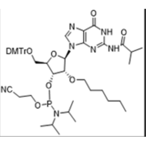 2'-O-hexyl G(iBu) amidite