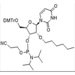 2'-O-hexyl U amidite