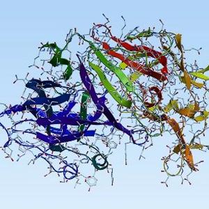 基質(zhì)金屬蛋白酶,Matrix metalloproteinases