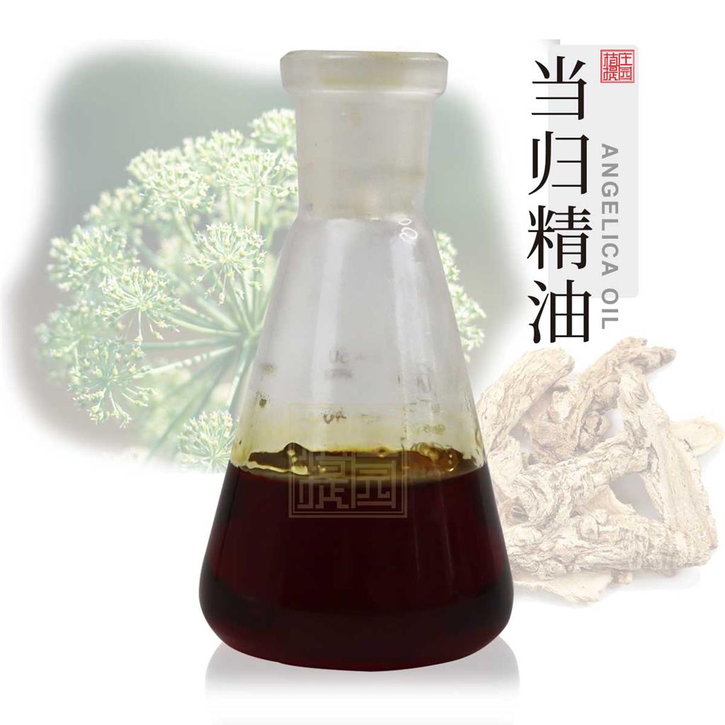 当归油,Angelica oil