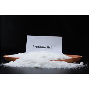 普鲁卡因碱,Procaine hydrochloride