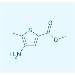 4-氨基-5-甲基噻吩-2-羧酸甲酯  501082-56-0
