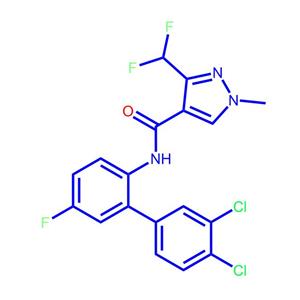 联苯吡菌胺581809-46-3