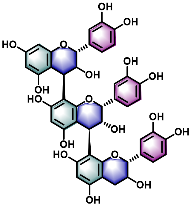 原花青素C1,Procyanidin C1