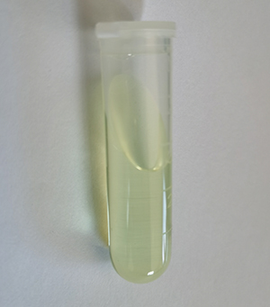 2-氟-6-硝基甲苯,2-Fluoro-6-nitrotoluene