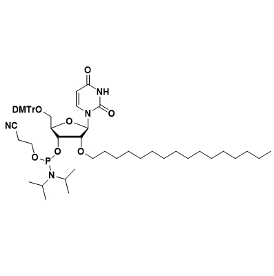 2’OC16-U phosphoramidite,2’OC16-U phosphoramidite