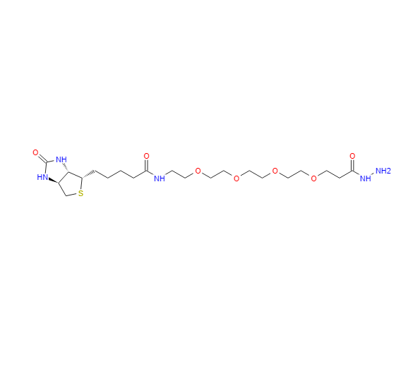生物素-PEG4-酰肼,(+)-Biotin-PEG4-Hydrazide
