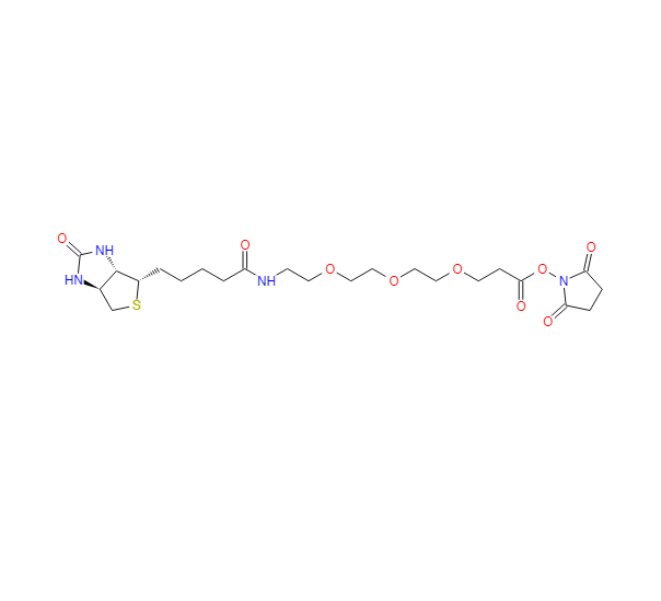2,5-二氧代吡咯烷-1-基 14-氧代-18-((3aS,4S,6aR)-2-氧代六氢-1H-噻吩并[3,4-d]咪唑-4-基)-4,7,10-三氧杂-13-氮杂十八烷酸酯,2,5-Dioxopyrrolidin-1-yl 14-oxo-18-((3aS,4S,6aR)-2-oxohexahydro-1H-thieno[3,4-d]imidazol-4-yl)-4,7,10-trioxa-13-azaoctadecanoate