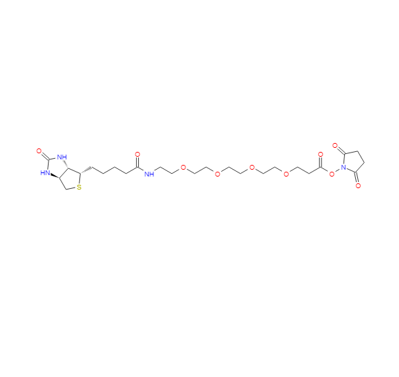 21-[(3AS,4S,6AR)-六氢-2-氧代-1H-噻吩并[3,4-D]咪唑-4-基]-17-氧代-4,7,10,13-四氧杂-16-氮杂二十一碳酸 2,5-二氧代-1-吡咯烷基酯,15-biotinlaMino-4,7,10,13-dioxanonanoic acid N-hydroxysucciniMidyl ester