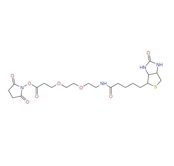 (+)-生物素-PEG2-NHS酯,9-biotinlaMino-4,7-dioxanonanoic acid N-hydroxysucciniMidyl ester