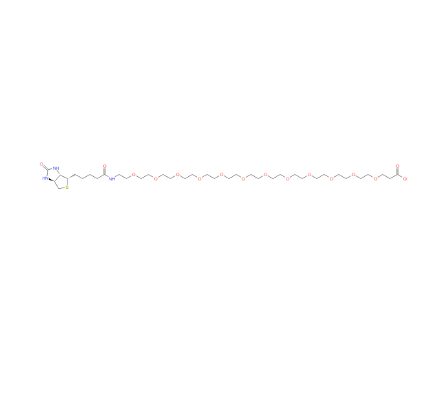 BIOTIN-十二聚乙二醇-丙酸,Biotin-PEG12-Acid