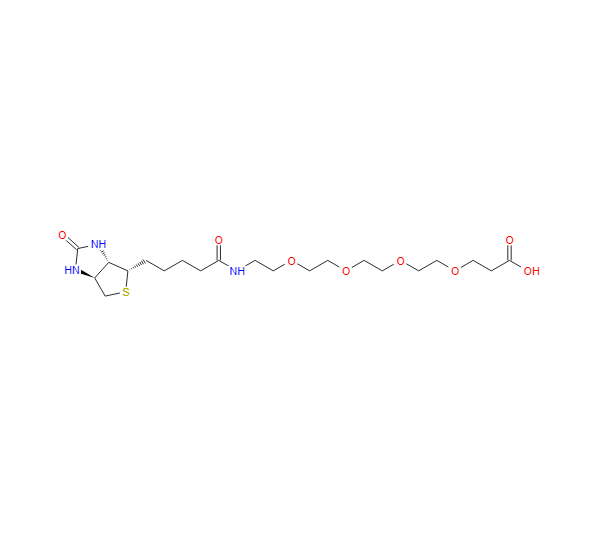 15-[D-(+)-生物素氨基]-4,7,10,13-四氧杂十五烷酸,15-[D(+)-BIOTINYLAMINO]-4,7,10,13-TETRAOXAPENTADECANOIC ACID