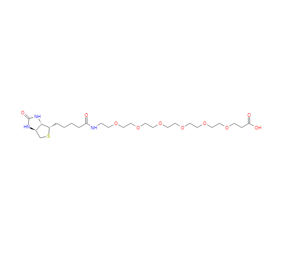 21-[D(+)-生物素基氨基]-4,7,10,13,16,19-六氧杂二十一烷酸,21-[D(+)-Biotinylamino]-4,7,10,13,16,19-hexaoxaheneicosanoic acid