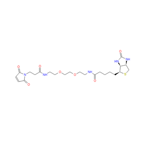 生物素-二聚乙二醇-酰胺-马来酰亚胺