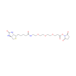 2,5-二氧代吡咯烷-1-基 14-氧代-18-((3aS,4S,6aR)-2-氧代六氢-1H-噻吩并[3,4-d]咪唑-4-基)-4,7,10-三氧杂-13-氮杂十八烷酸酯,2,5-Dioxopyrrolidin-1-yl 14-oxo-18-((3aS,4S,6aR)-2-oxohexahydro-1H-thieno[3,4-d]imidazol-4-yl)-4,7,10-trioxa-13-azaoctadecanoate