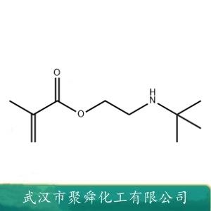 甲基丙烯酸叔丁基氨基乙酯,2-(tert-butylamino)ethyl methacrylate