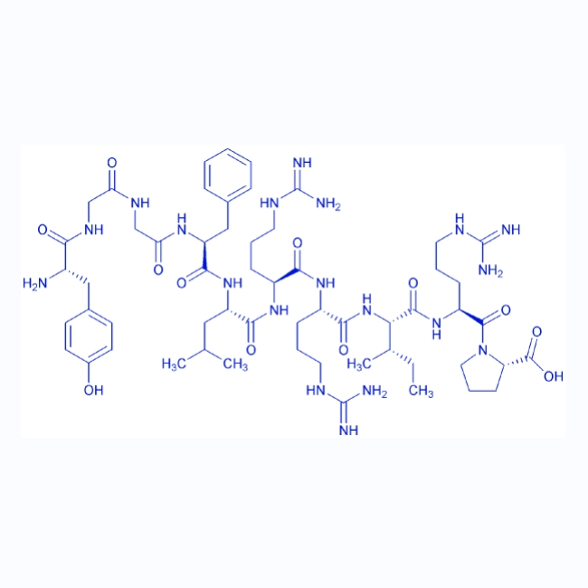 强啡肽A(1-10),Dynorphin A (1-10)