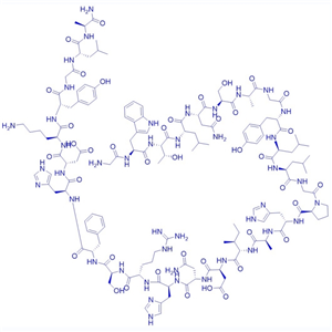 神经肽Galanin, Porcine/88813-36-9/Galanin, Porcine