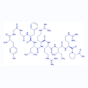 强啡肽A(1-10)/79994-24-4/Dynorphin A (1-10)