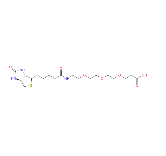18-[(3AS,4S,6AR)-六氢-2-氧代-1H-噻吩并[3,4-D]咪唑-4-基]-14-氧代-4,7,10-三氧杂-13-氮杂十八烷酸,Biotin-PEG3-propionic acid